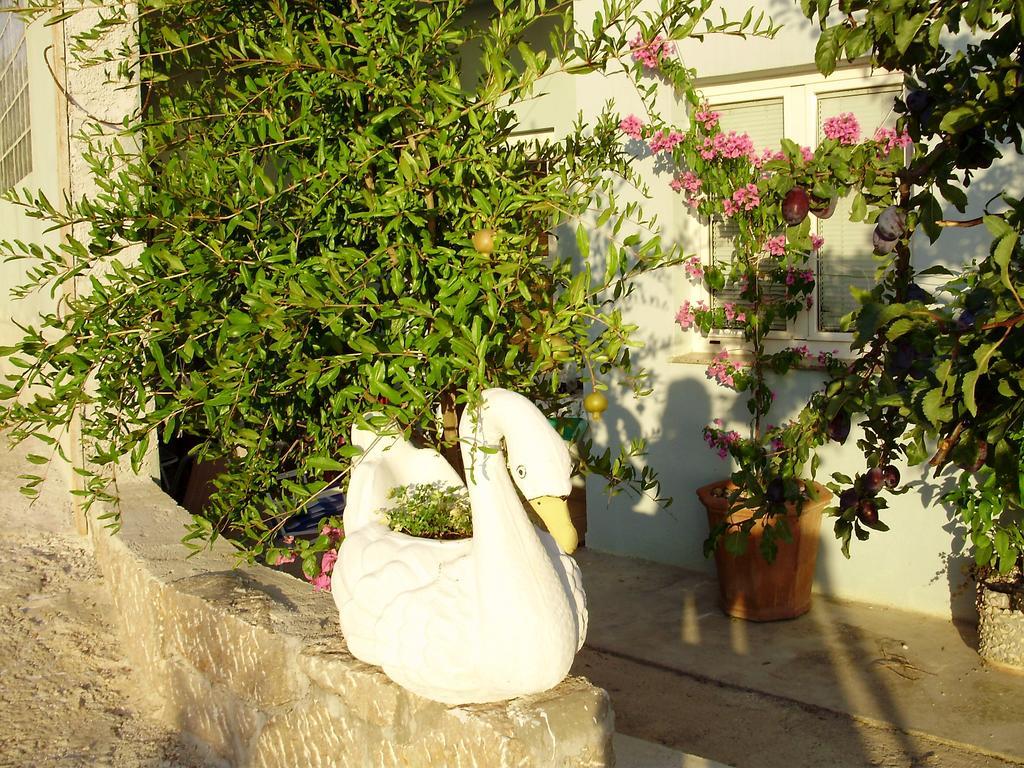 Apartman Lucija Seline Habitación foto